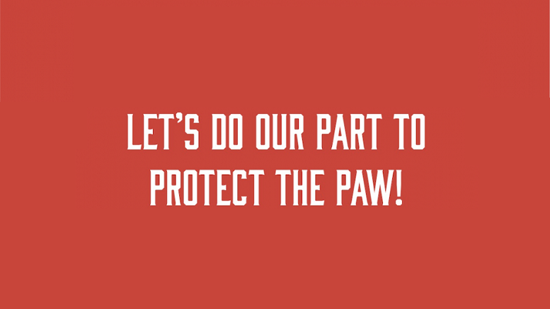 Superintendent Jette releases updates for week of October 1,2020 to protect the paw.