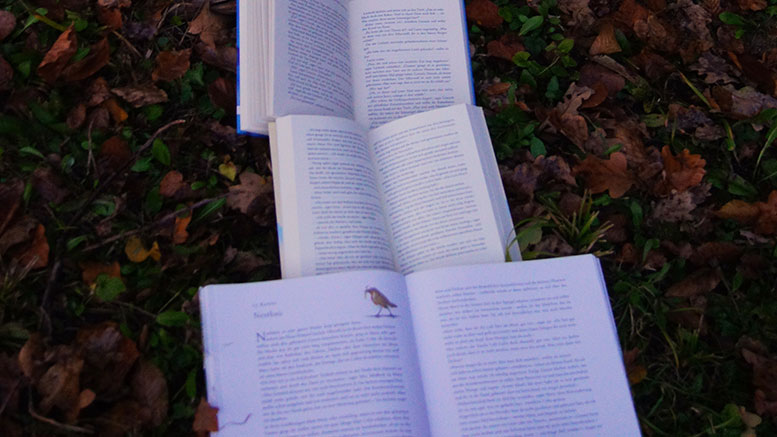 books spread out on grass