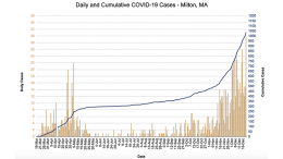 covid chart december 2020