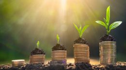 Plants growing on top of coins