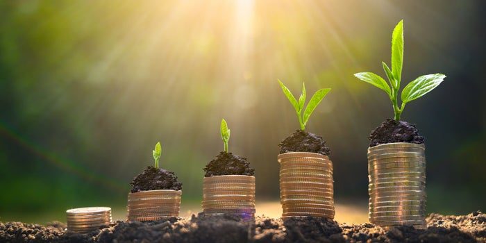 Plants growing on top of coins