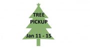 DPW Reminder: Holiday Tree Pick Up January 13-15.