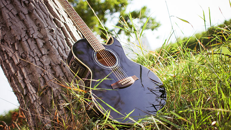 guitar in grass - music