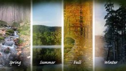 four seasons