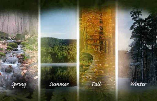 four seasons