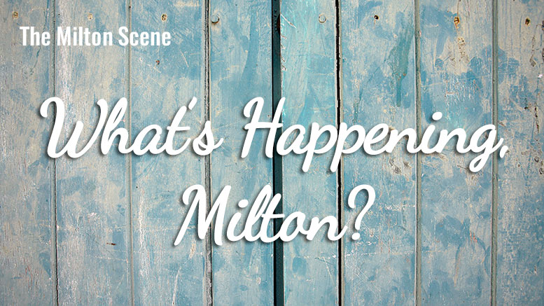 What's Happening Milton - weekly update of events in Milton, MA
