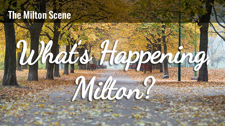 What's Happening Milton - weekly update of events in Milton, MA