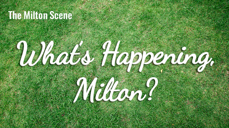 What's Happening Milton - weekly update of events in Milton, MA