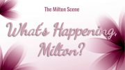 What's Happening Milton - weekly update of events in Milton, MA