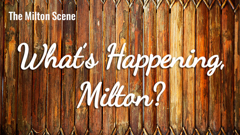 What's Happening Milton - weekly update of events in Milton, MA