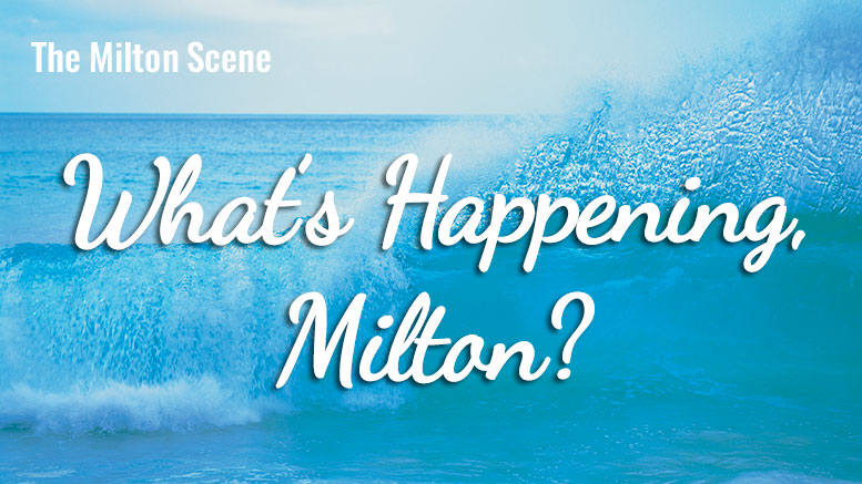 What's Happening Milton - weekly update of events in Milton, MA
