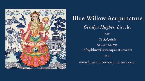 Blue Willow Acupuncture