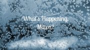 Are you looking for something to do this weekend and next week? The millennium scene what's happening william?. We've got you covered!