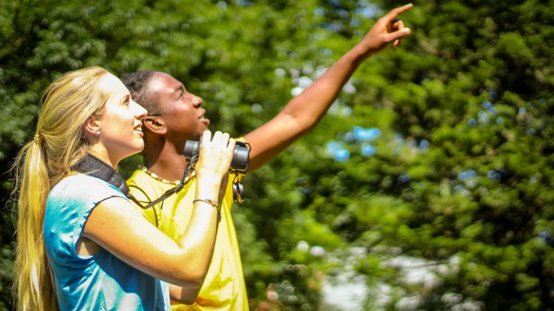 Mass Audubon Bird-a-thon