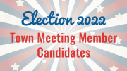 Election 2022 town meeting member candidates