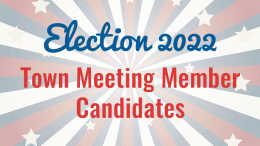 Election 2022 town meeting member candidates