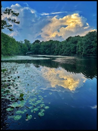 Pope's Pond by Andrew D'Amato