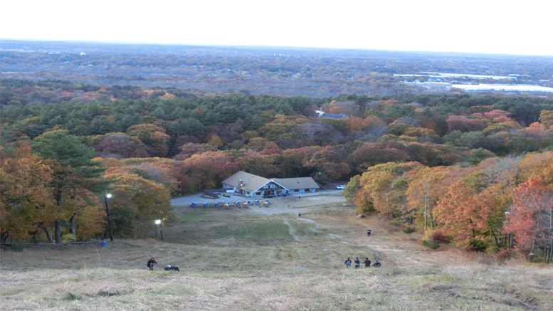 Friends of the Blue Hills