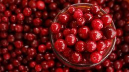 cranberries