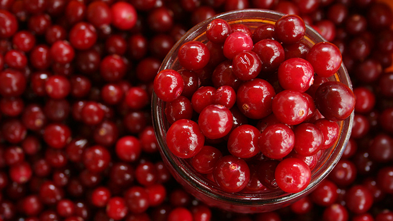 cranberries