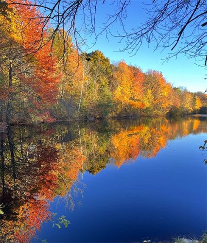 Pope's Pond by Kevin Hardy