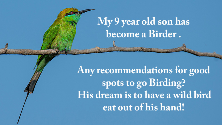My 9 year old son has become a Birder (is that a word?) Any recommendations for good spots to go Birding? His dream is to have a wild bird eat out of his hand! I am frequently made to walk the streets with a cup of bird seed looking for our feathered friends, however, I’d prefer to just go somewhere where birds abound. Thanks in advance!
