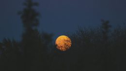 moon at night