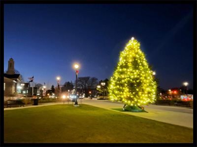 Christmas tree in East Milton Square. Photo: Andy D'Amato