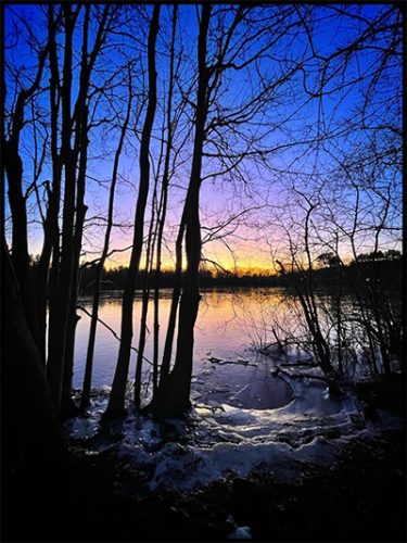 Turners Pond. Photo credit: Andy D'Amato