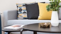 home decor example - couch with pretty pillows and vase