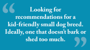 Milton Neighbors advice: Looking for recommendations for kid friendly small dog breeds, one that doesn't bark or shed too much