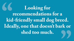 Milton Neighbors advice: Looking for recommendations for kid friendly small dog breeds, one that doesn't bark or shed too much