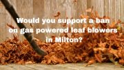 Would you support a ban on gas powered leaf blowers in Milton?