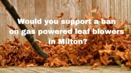 Would you support a ban on gas powered leaf blowers in Milton?