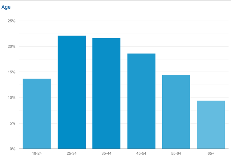 Milton Scene Google analytics screenshot - age