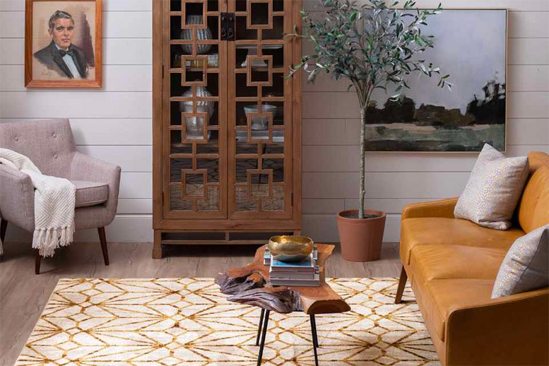 Hardwood floor with unique area rug in living room Photo: Harry's Carpet One blog