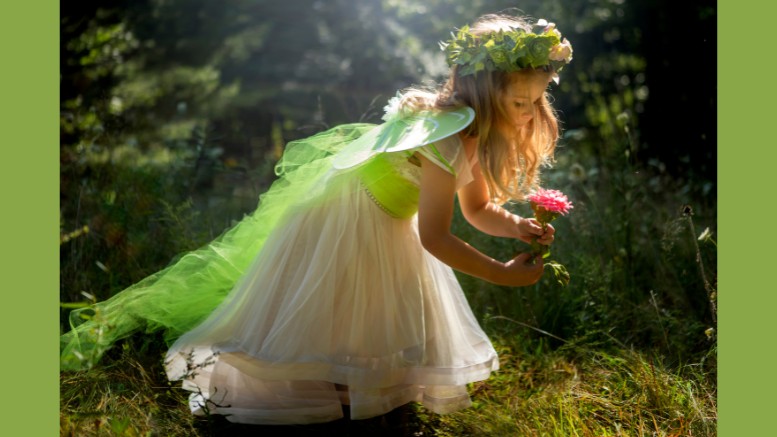 fairy girl in the woods