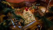 Experience holiday magic at Eustis Estate on December 14: an evening of festive cheer featuring a christmas tree on the stairs of this magnificent mansion.