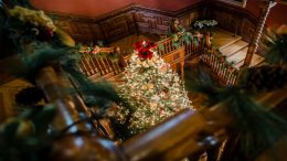 Experience holiday magic at Eustis Estate on December 14: an evening of festive cheer featuring a christmas tree on the stairs of this magnificent mansion.