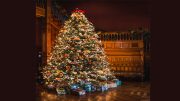 Deck the halls with Christmas joy at Eustis Estate, featuring a large Christmas tree in a beautifully decorated room.