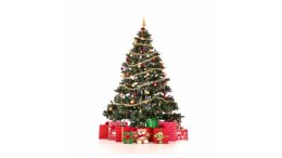 A Christmas tree with presents on a white background