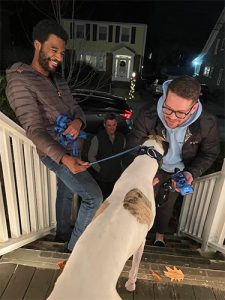 Two men with a dog on a leash on the stairs 