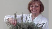 A smiling woman, holding a potted lavender plant, announces adult programming for April 2024 at Milton Public Library.