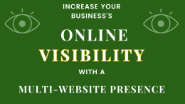 Text "increase your business's online visibility with a multi-website presence" in yellow with eye icons on either side against a green background. Special edition by Frosty the Marketer: Small Business Corner