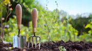 In the vibrant backdrop of lush green plants and blurred trees, a trowel and garden fork with wooden handles stand ready in the soil. Join us on April 26 for Garden Gather: Connect & Grow, to watch your garden thrive as we head into 2025.
