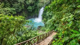 A wooden staircase winds through the lush green foliage, leading to a waterfall cascading into a turquoise pool. Join us on April 22, 2025, for a virtual nature talk and explore Costa Rica's rainforest wonders from the comfort of your home!.