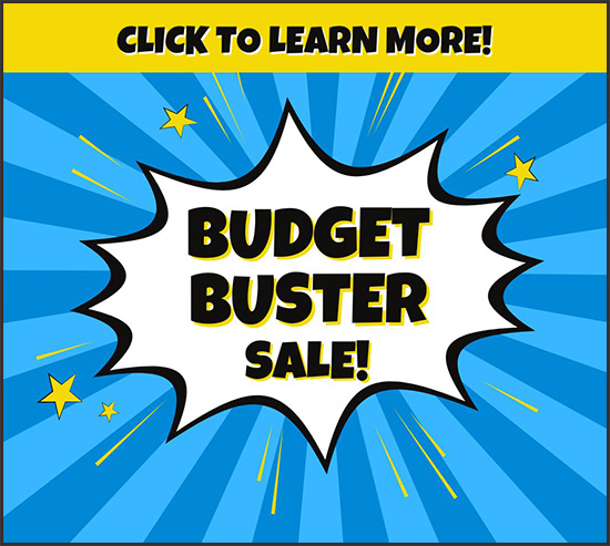A graphic with a blue starburst background features the text "BUDGET BUSTER SALE!" in bold letters and "Click to learn more!" at the top.