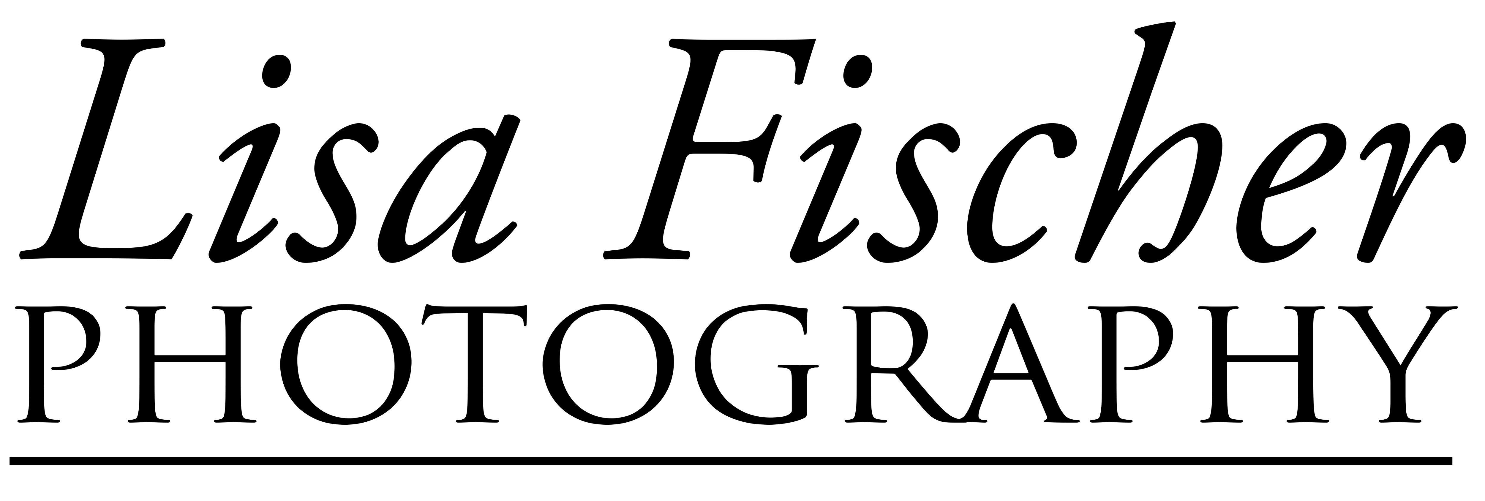 Logo transp CS