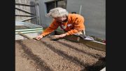 Person in an orange sweater planting seeds in rows in a raised garden bed outside, helping to grow fresh produce for the community near a wooden fence and a building.