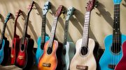 A row of colorful acoustic guitars and ukuleles are lined up against a beige wall, with sunlight casting shadows across them, ready to set the stage for the Milton Summer Concert Series.